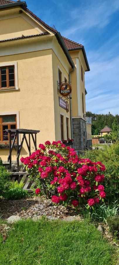 Pension Pod Lipou Loučovice 외부 사진