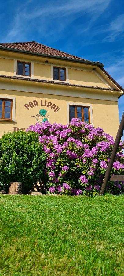 Pension Pod Lipou Loučovice 외부 사진